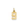 14k Yellow Gold, Varsity Collection, Small D C Pendant Number 9 Online Hot Sale